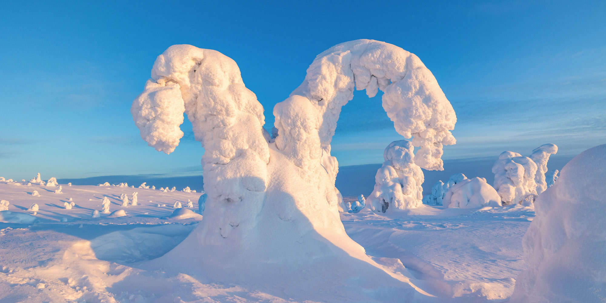 Winter landscape at sunset in Finnish Lapland